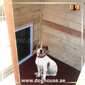 dog house with ac in dubai and uae