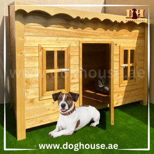 Pet furniture in Dubai and UAE